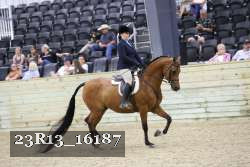 23R13_16187 thumbnail