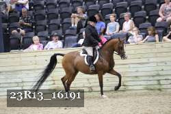 23R13_16191 thumbnail