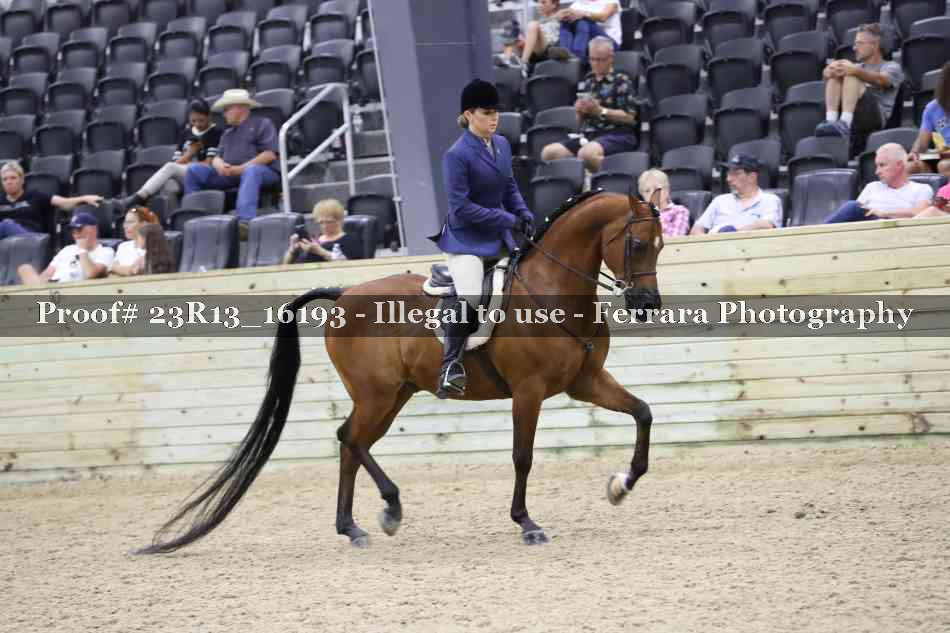 Proof Number 23R13_16193