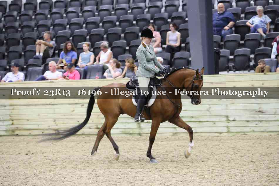 Proof Number 23R13_16196
