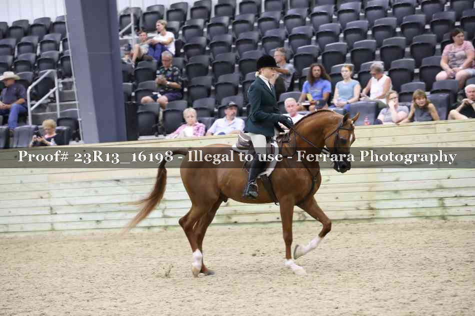 Proof Number 23R13_16198