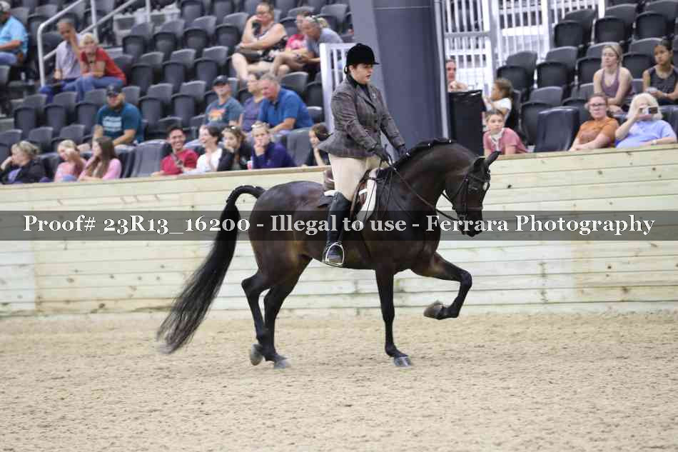 Proof Number 23R13_16200