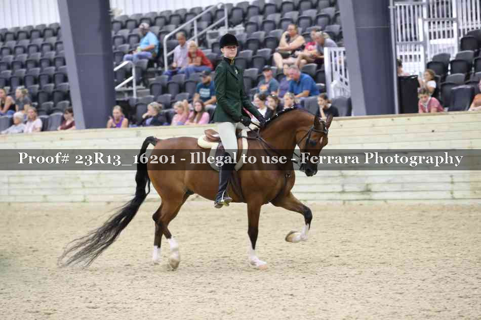Proof Number 23R13_16201