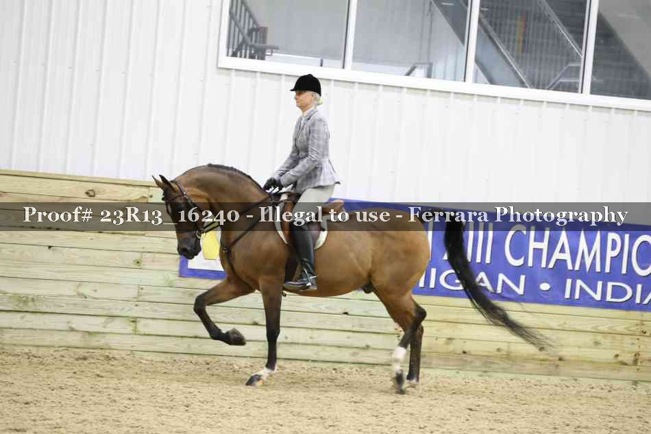 Proof Number 23R13_16240