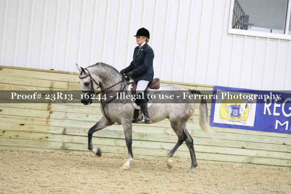 Proof Number 23R13_16244