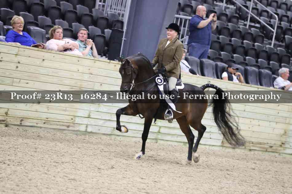 Proof Number 23R13_16284