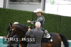 23R13_16355 thumbnail