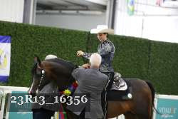 23R13_16356 thumbnail