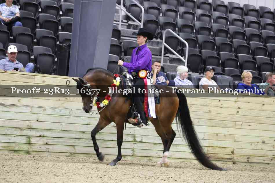 Proof Number 23R13_16377