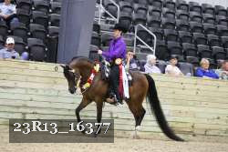 23R13_16377 thumbnail