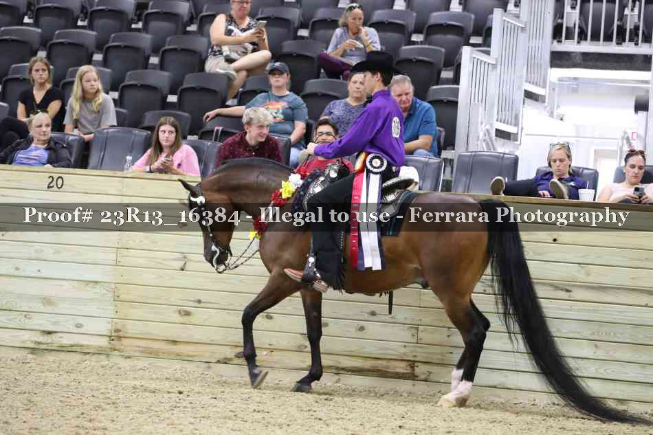 Proof Number 23R13_16384