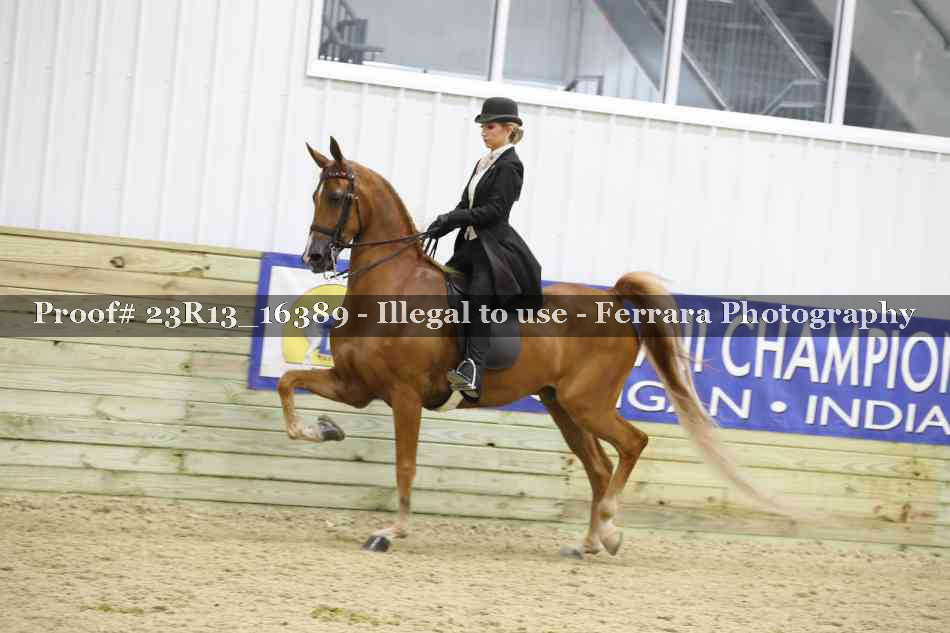 Proof Number 23R13_16389