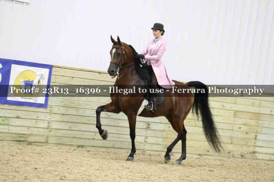 Proof Number 23R13_16396