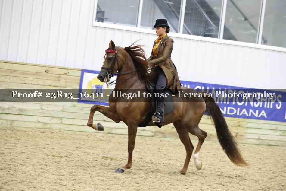 Proof Number 23R13_16411