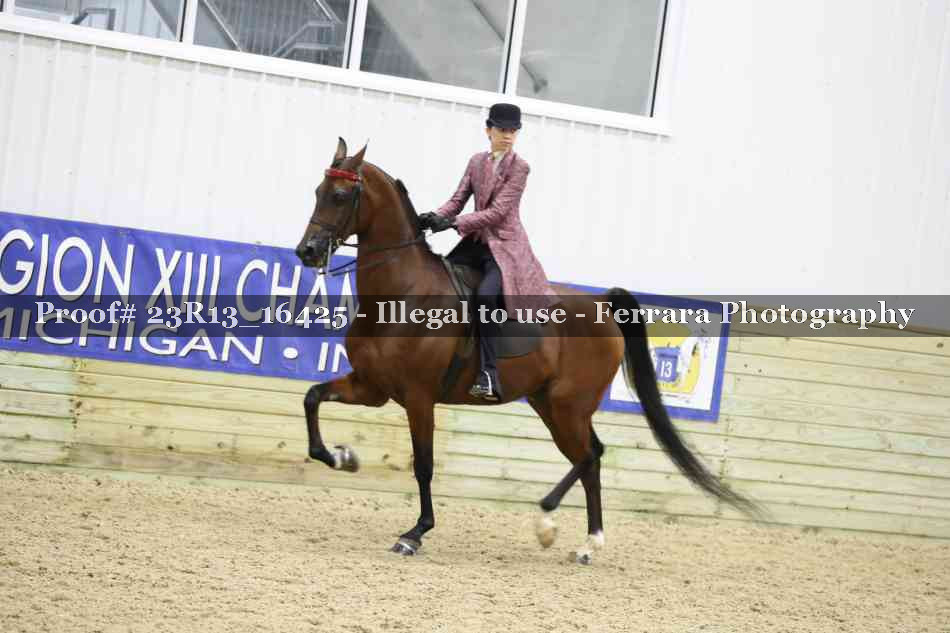 Proof Number 23R13_16425