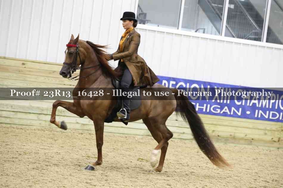 Proof Number 23R13_16428