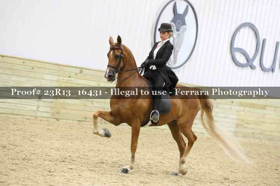 Proof Number 23R13_16431