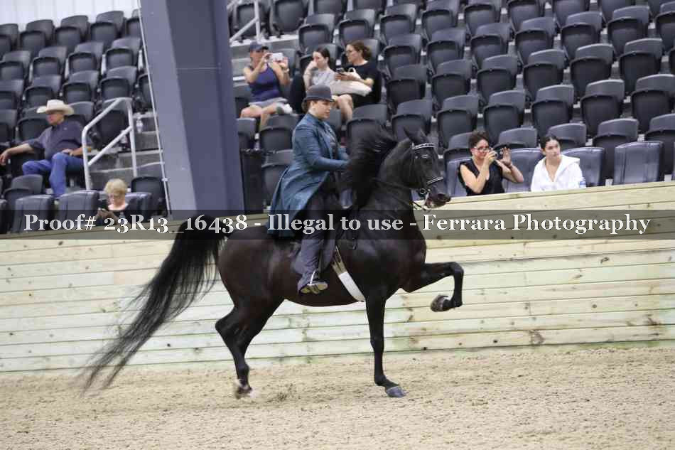 Proof Number 23R13_16438