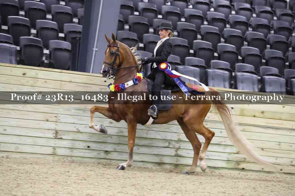 Proof Number 23R13_16483