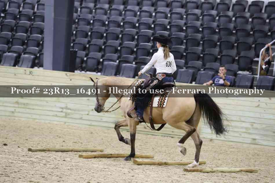 Proof Number 23R13_16491