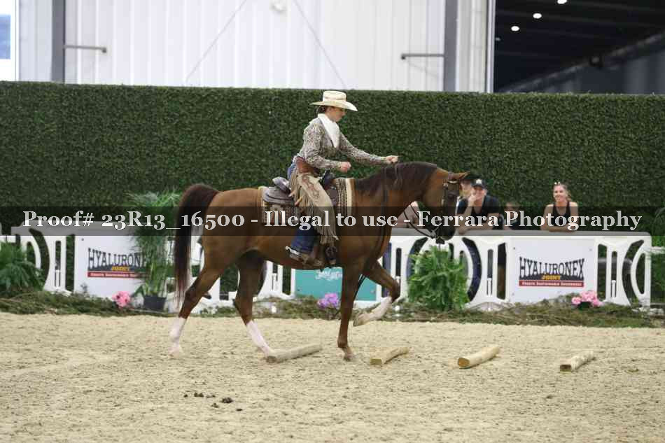 Proof Number 23R13_16500