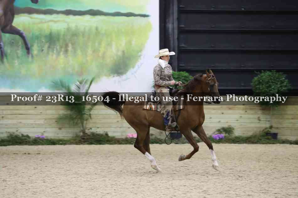 Proof Number 23R13_16504