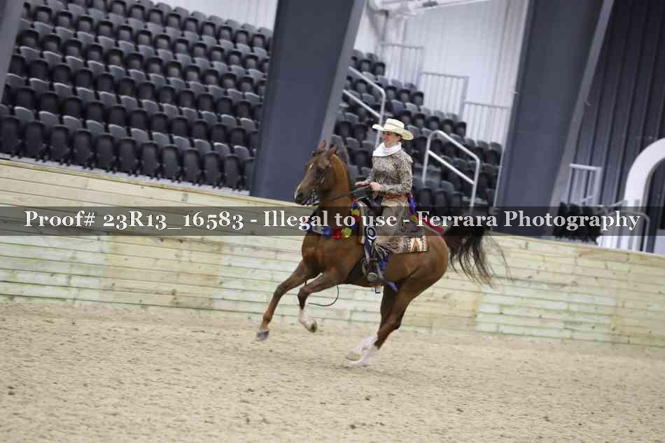 Proof Number 23R13_16583