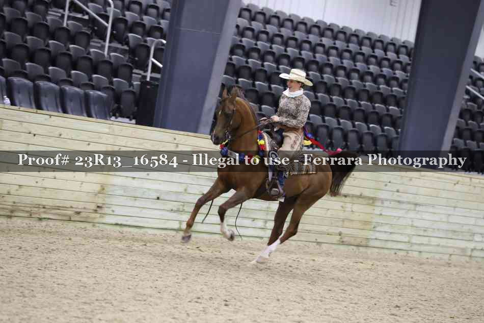 Proof Number 23R13_16584