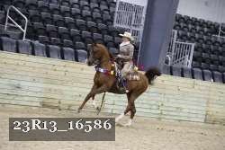 23R13_16586 thumbnail
