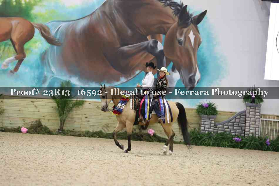 Proof Number 23R13_16592
