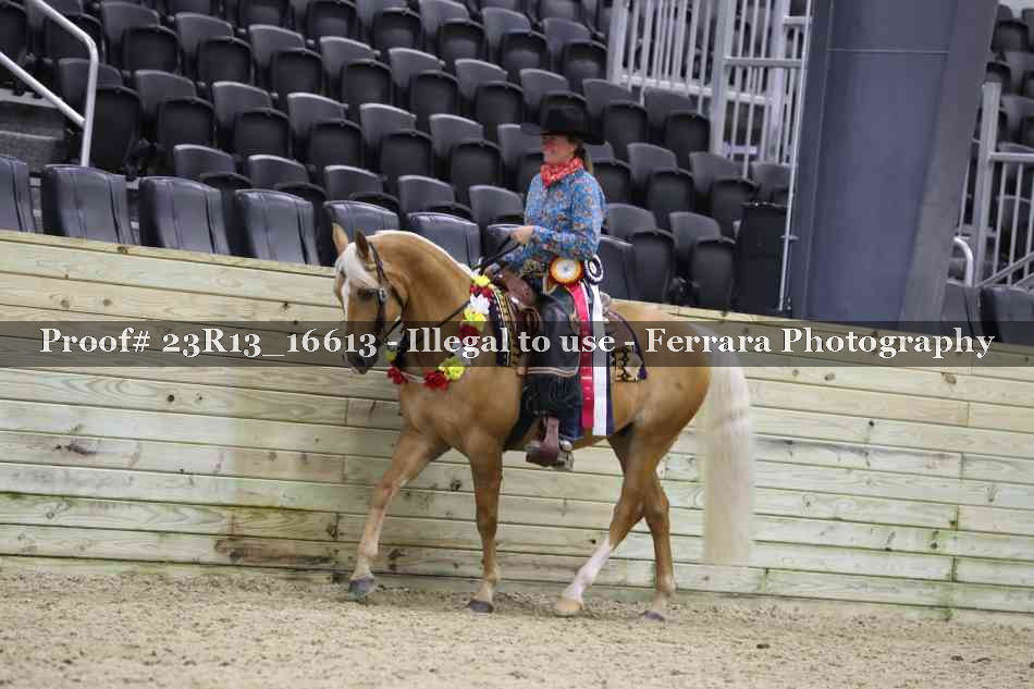 Proof Number 23R13_16613