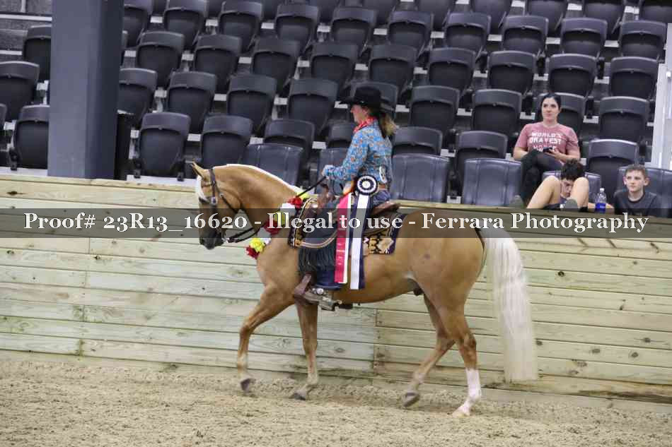 Proof Number 23R13_16620