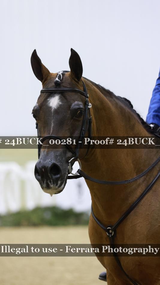 Proof Number 24BUCK_00281