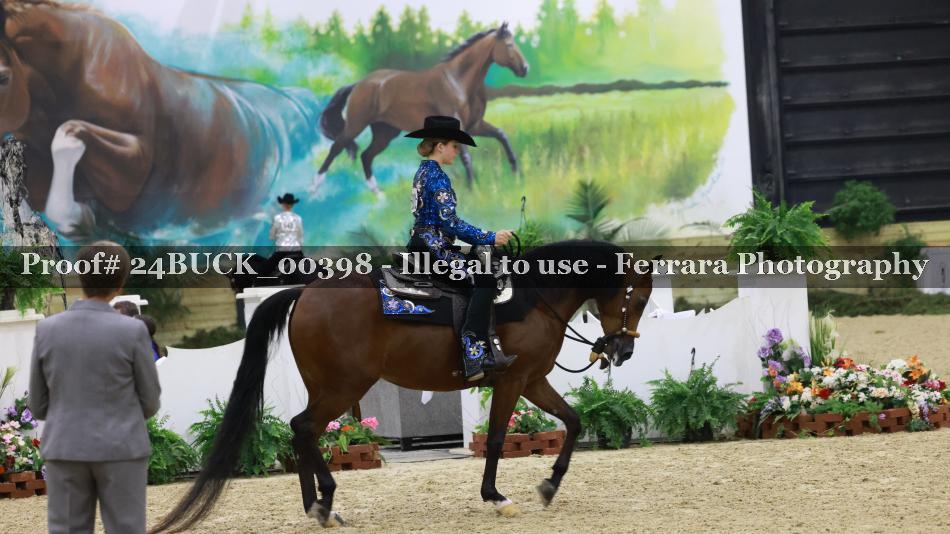 Proof Number 24BUCK_00398