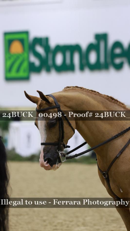 Proof Number 24BUCK_00498