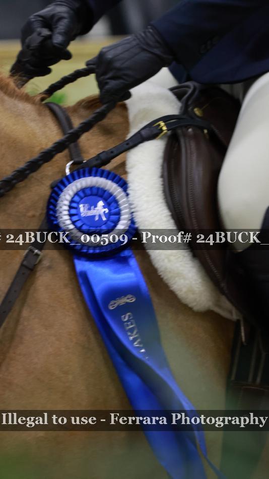 Proof Number 24BUCK_00509
