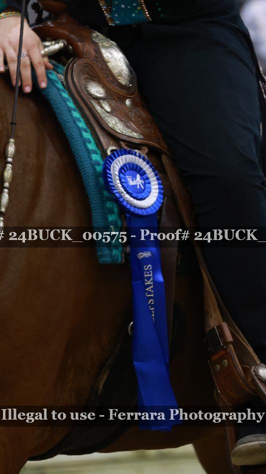 Proof Number 24BUCK_00575
