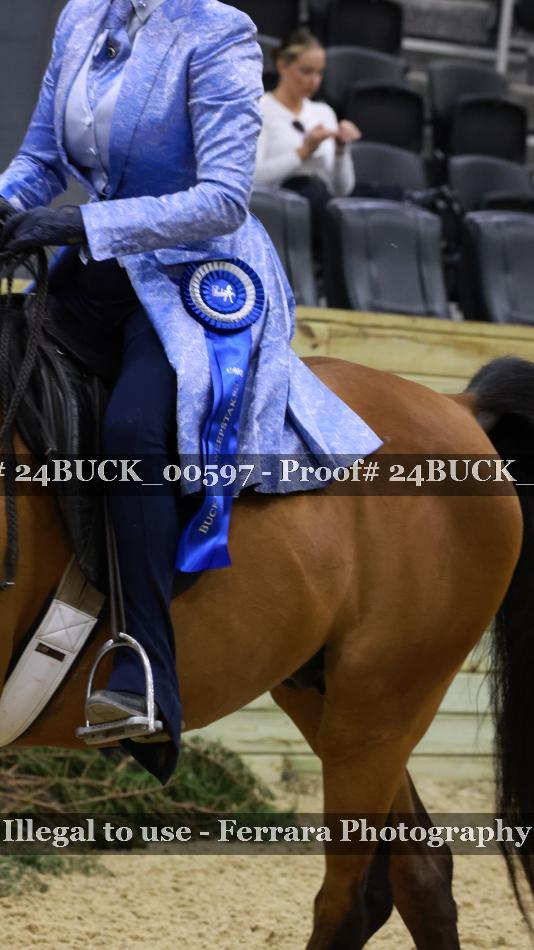 Proof Number 24BUCK_00597