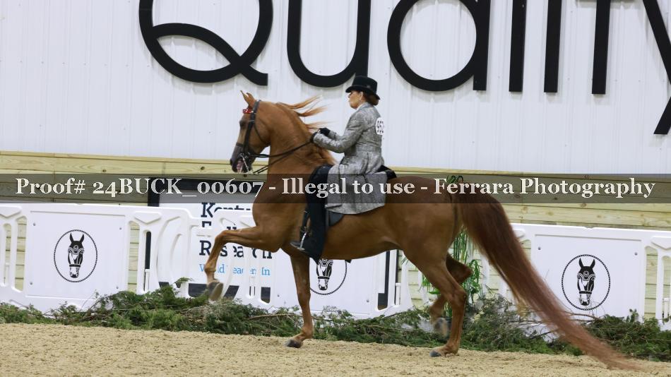 Proof Number 24BUCK_00607