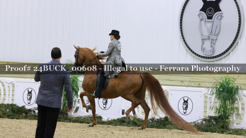 Proof Number 24BUCK_00608