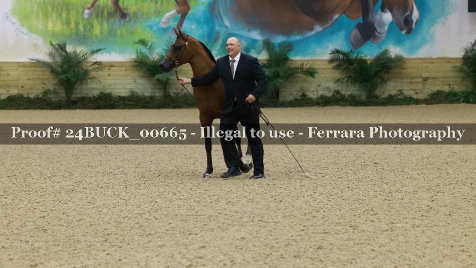 Proof Number 24BUCK_00665
