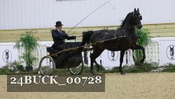 24BUCK_00728 thumbnail