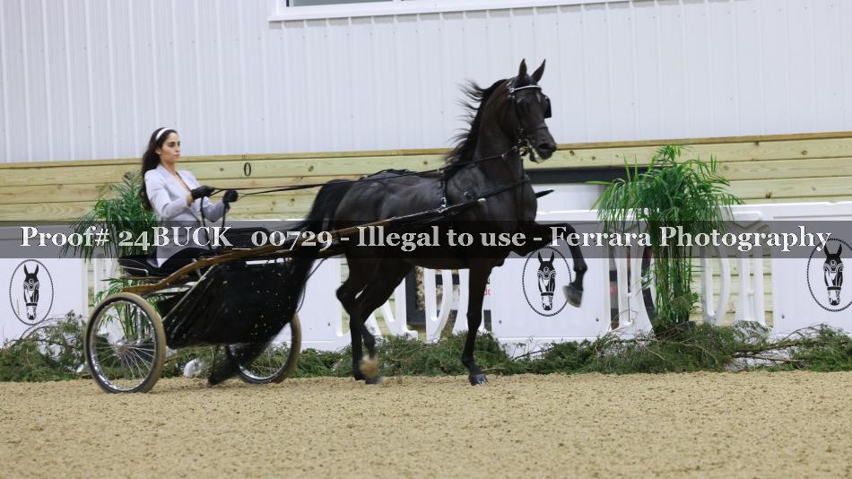 Proof Number 24BUCK_00729