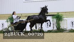 24BUCK_00729 thumbnail