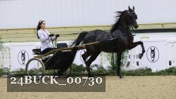 24BUCK_00730 thumbnail