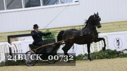 24BUCK_00732 thumbnail