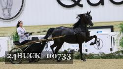 24BUCK_00733 thumbnail