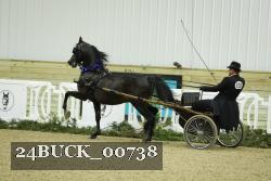 24BUCK_00738 thumbnail