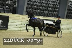 24BUCK_00739 thumbnail
