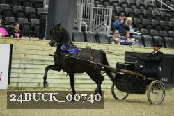 24BUCK_00740 thumbnail